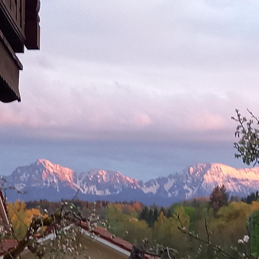 Landhof Ella - Ferienhaus Vor Den Toren Salzburgs Petting Extérieur photo