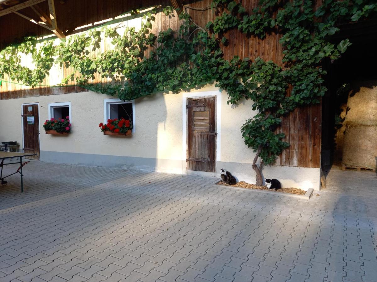 Landhof Ella - Ferienhaus Vor Den Toren Salzburgs Petting Extérieur photo