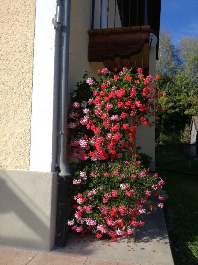 Landhof Ella - Ferienhaus Vor Den Toren Salzburgs Petting Extérieur photo