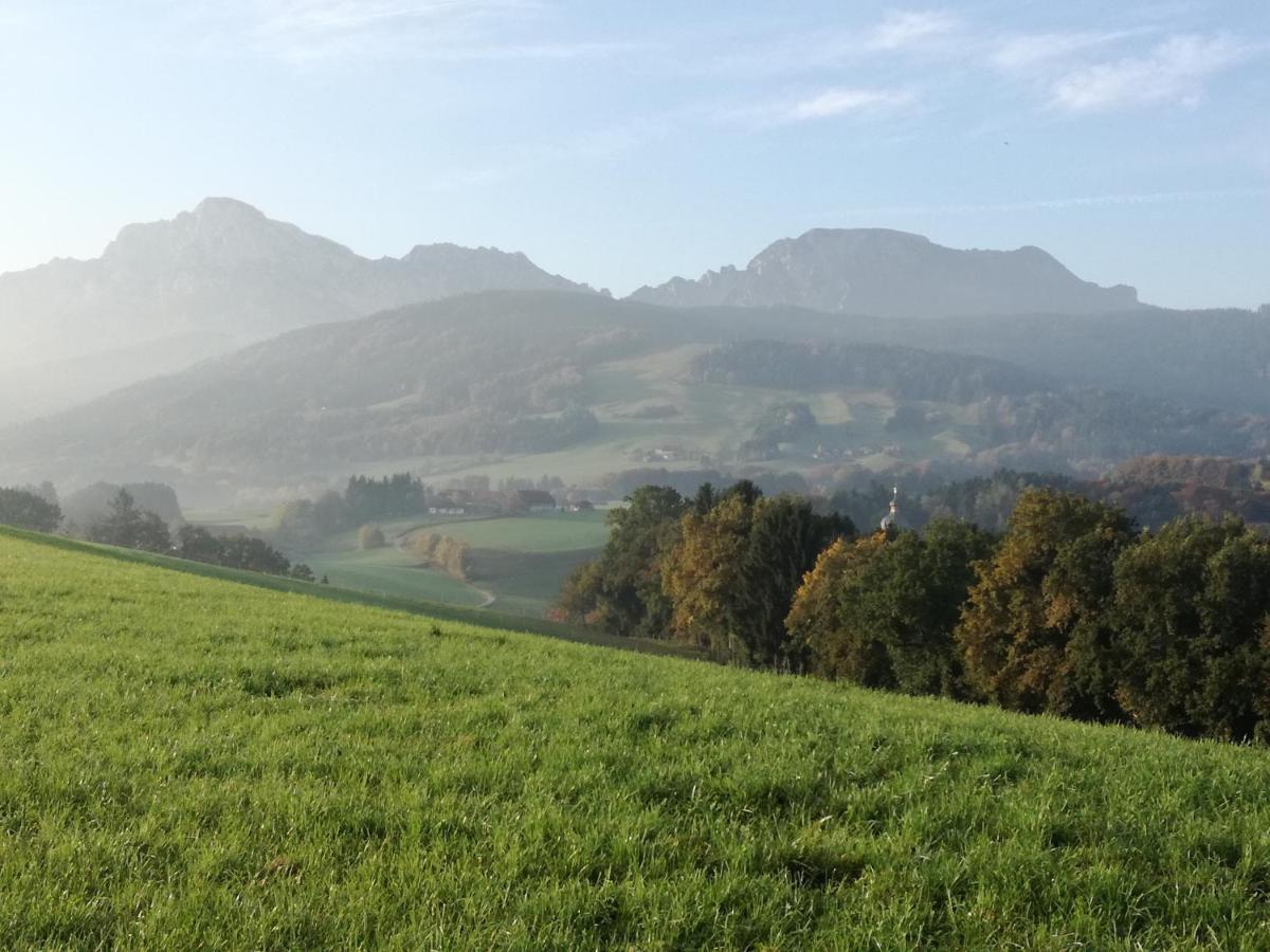 Landhof Ella - Ferienhaus Vor Den Toren Salzburgs Petting Extérieur photo
